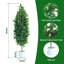 150cm Plant-1447866082