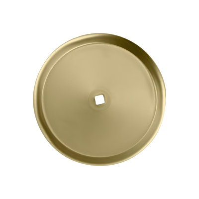 Metal Closet Backplate Polished Brass Finish