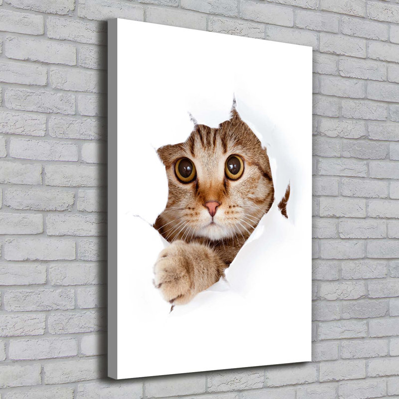 Cat - Wrapped Canvas Print