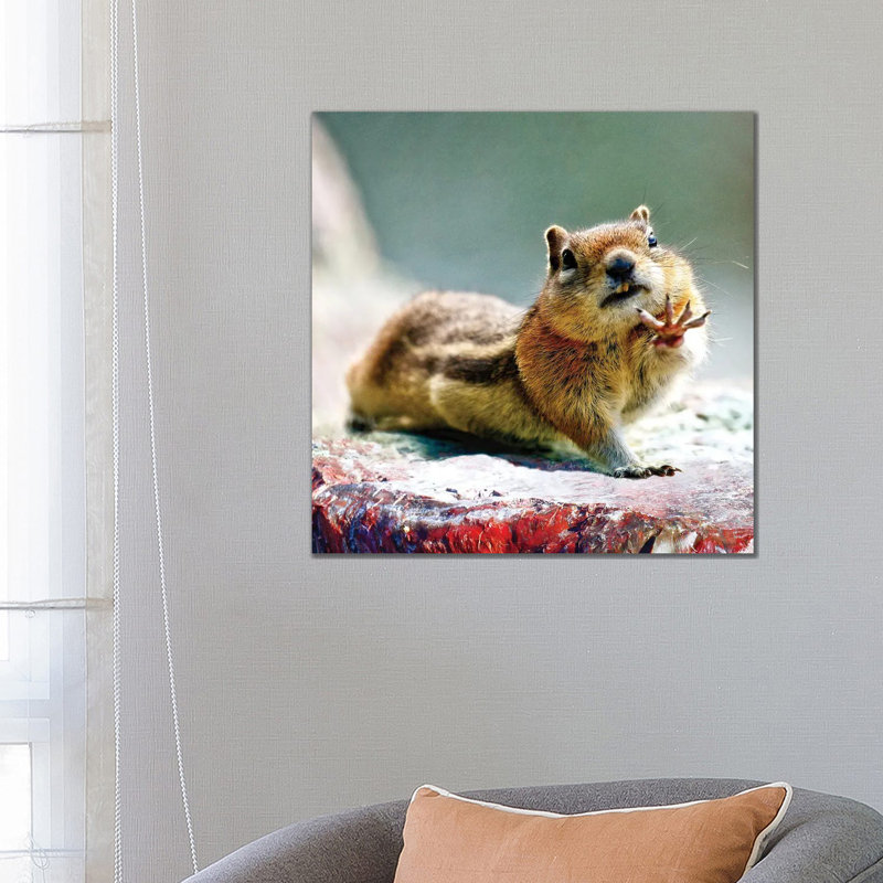 Talk to the Hand - Chipmunk Art 1 Piece Wrapped Canvas Wall Art, 66.04 cm H x 66.04 cm W
