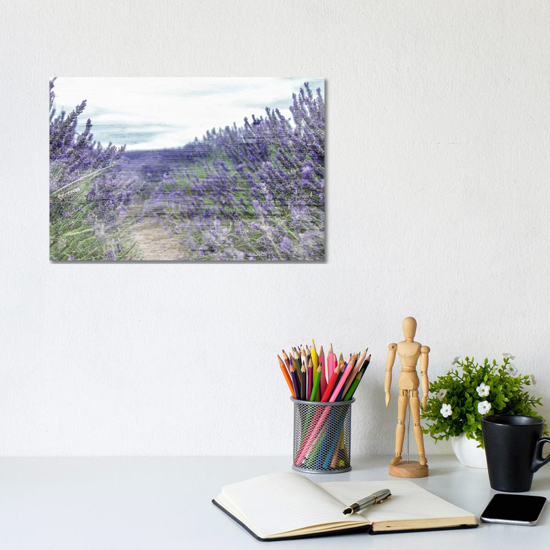 Lavender Field by Kimberly Allen - Wrapped Canvas Gallery-Wrapped Canvas Giclée, 20.32cm H x 20.32cm W