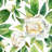 Schlusser Pattern With Peonies - Wrapped Canvas Square Painting-609949125