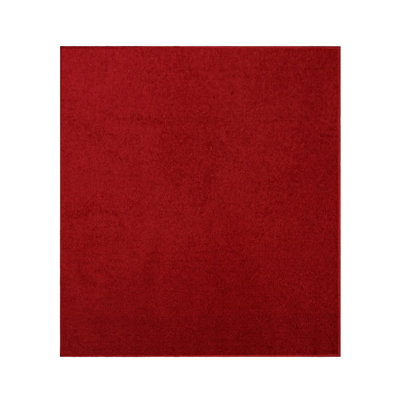 Tapis modernes de couleur unie pour animaux de compagnie et enfants, résistance aux taches et à la décoloration, chambre à coucher, salle de jeux et chambre d'enfant, événement, mariage, parfait pour le salon, la salle à 