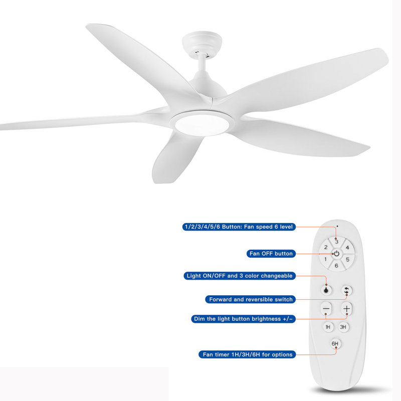 Dainius 60'' Ceiling Fan with LED Lights, White