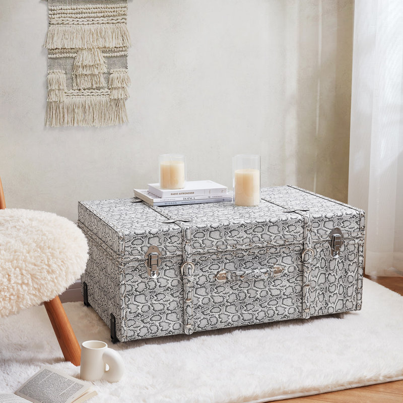 Texture Brand Trunk - Silver Snakeskin