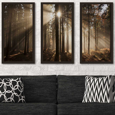" Autumn Morning In Forest " 3 - Pieces