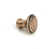 Polished Bronze