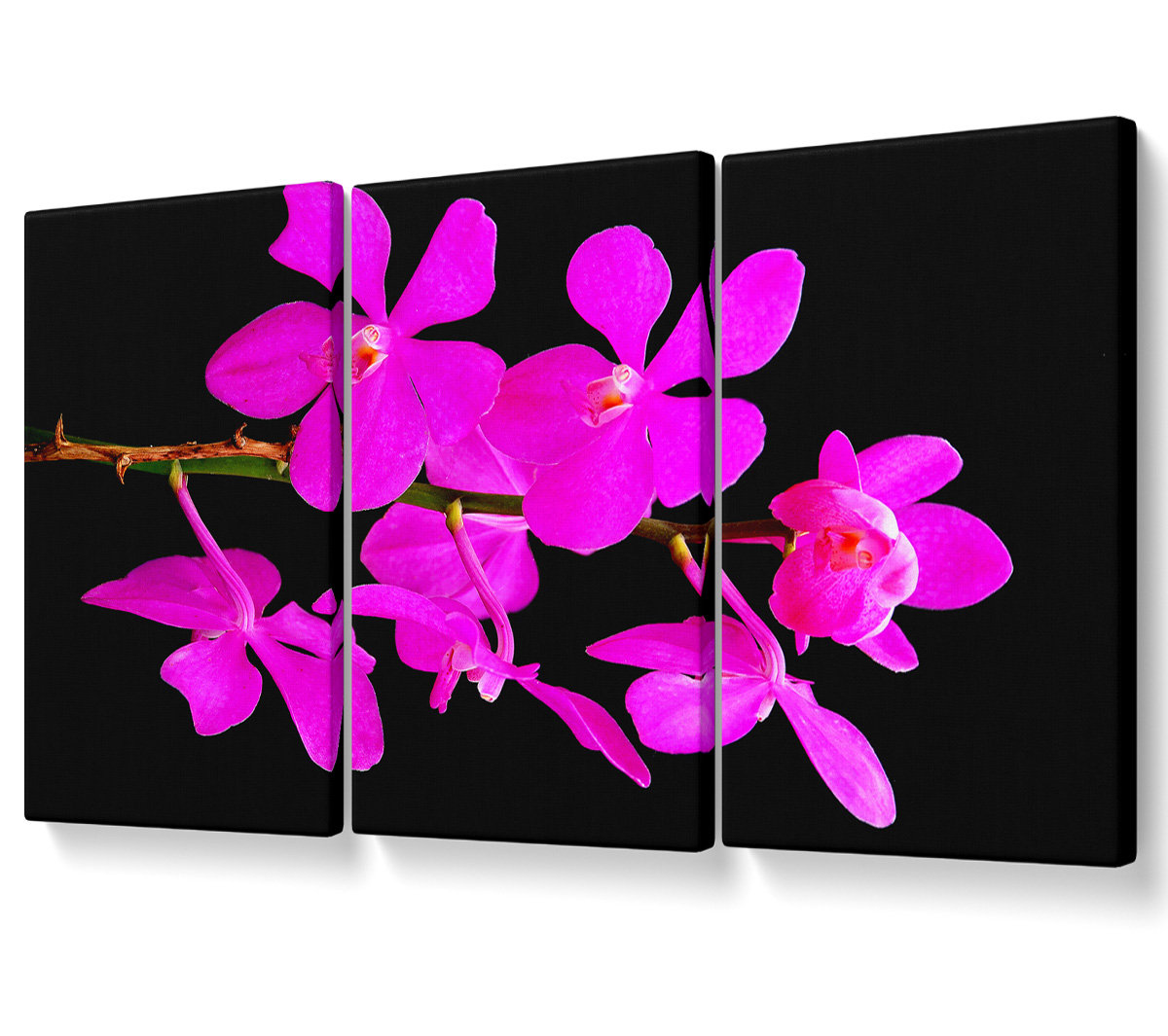 Ebern Designs Vibrant Pink Beauties - 3 Piece Wrapped Canvas Graphic ...