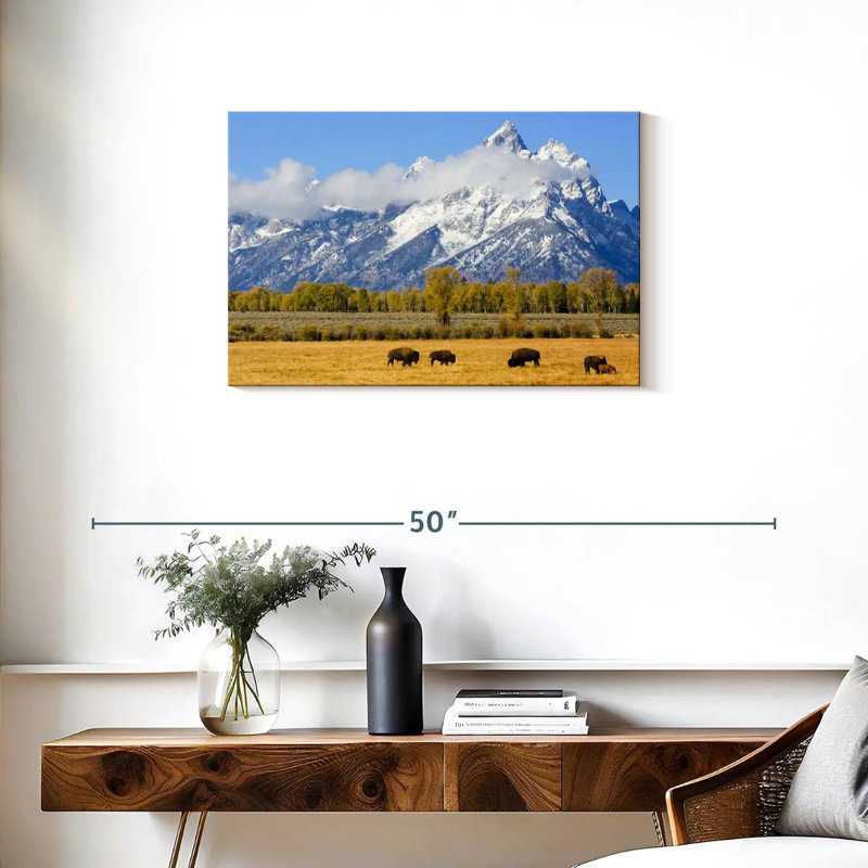 Bison d'Alvord dans les plaines de Teton, H 20 po x l 30 po