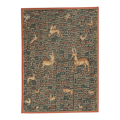 Wool Indoor Rug