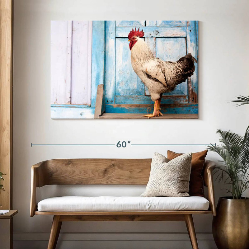 Coq domestique Crowle, H 32 po x l 48 po