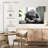 Napping Koala-107943726