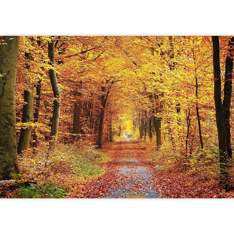 Peel & Stick Clear Border, 66" L x 96" W