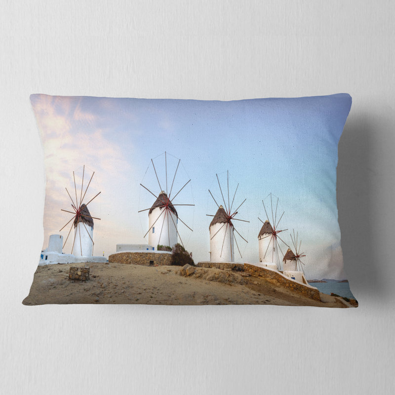 Coussin lombaire Schafer