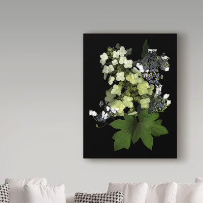 «Hydrangea» par Dosta, impression sur toile tendue