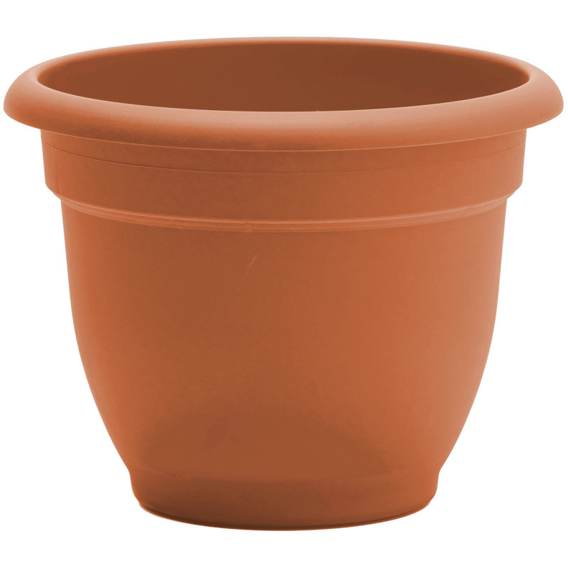 Pot à fleurs intérieur / extérieur Traditional, Terre cuite, H 10,25 po x l 13 po x P 13 po
