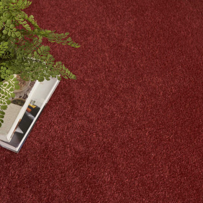 Tapis intérieur / extérieur rouge Mullican Sandy