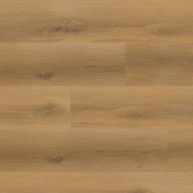 Modesta-CGVRCMODE9X60-7522-SM