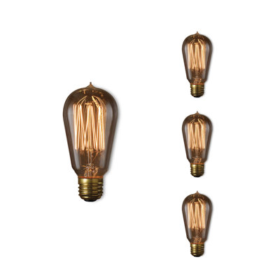 Ampoule incandescente à intensité variable 60 W ST18 blanc chaud E26 / culot moyen (standard)
