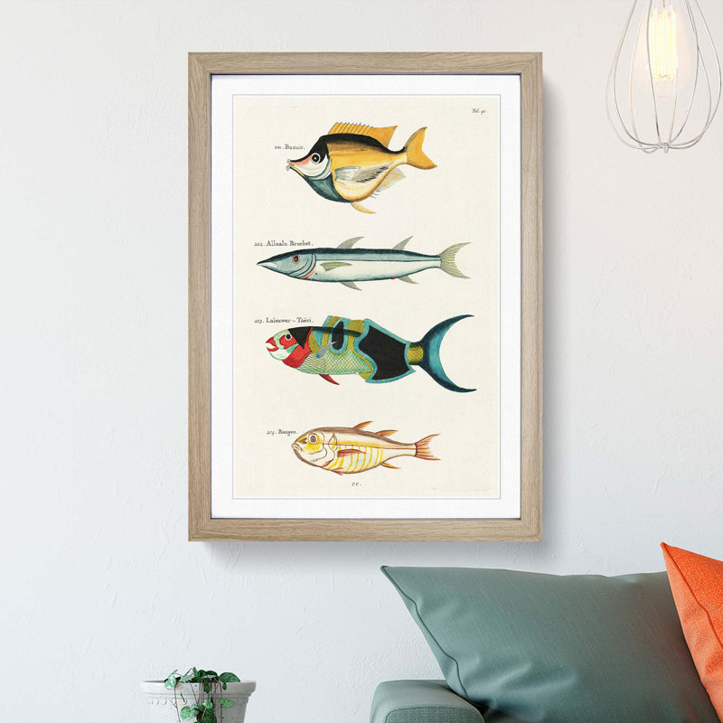 East Indies Fish Illustrations Fol. 40 by Louis Renard - Picture Frame Graphic Art Print, 65cm H x 48cm W x 2cm D, Oak Framed