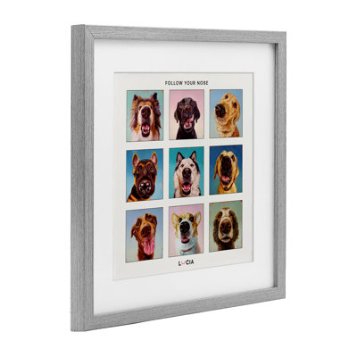 Follow Your Nose Dogs Framed Print Under Glass, design by Lucia Heffernan