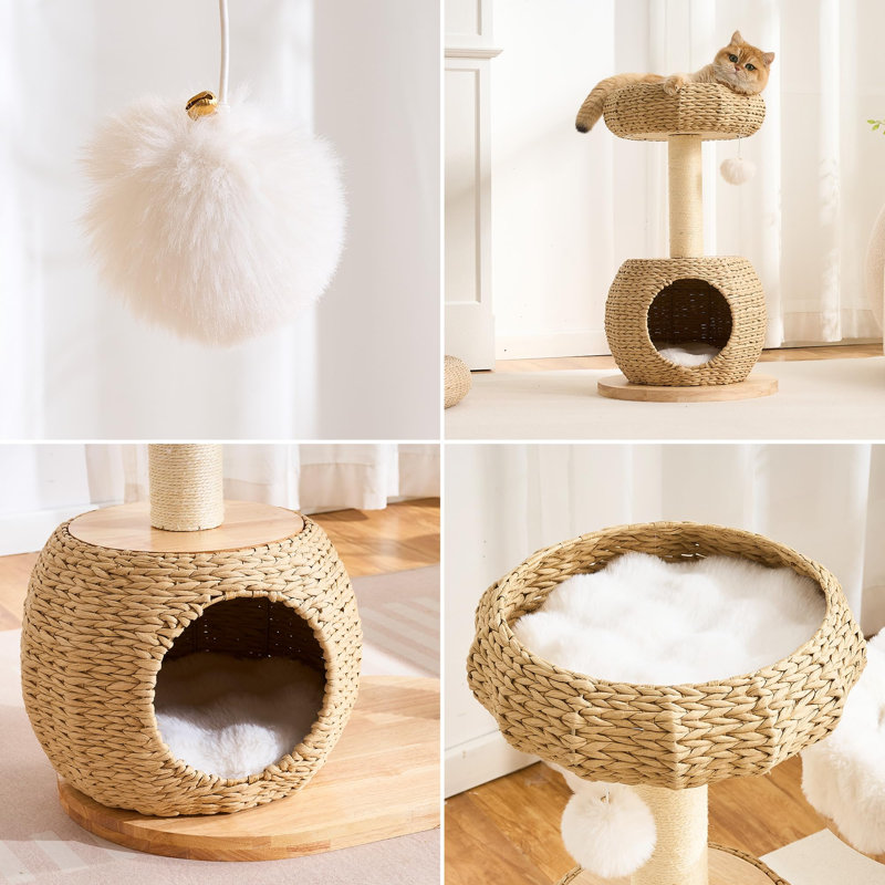 Tour pour arbre à chat Modern Modern