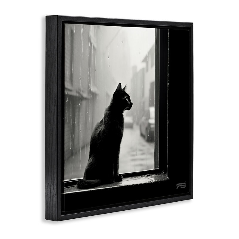 «Cat Gazing Rainy Window» par Roozbeh Bahramali, Cadre flottant noir de jais, H 18 po x l 18 po