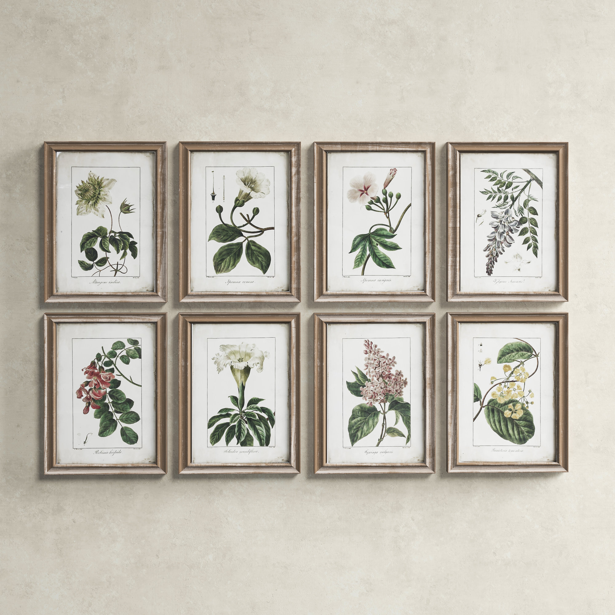 Wood Framed Floral Reproductions