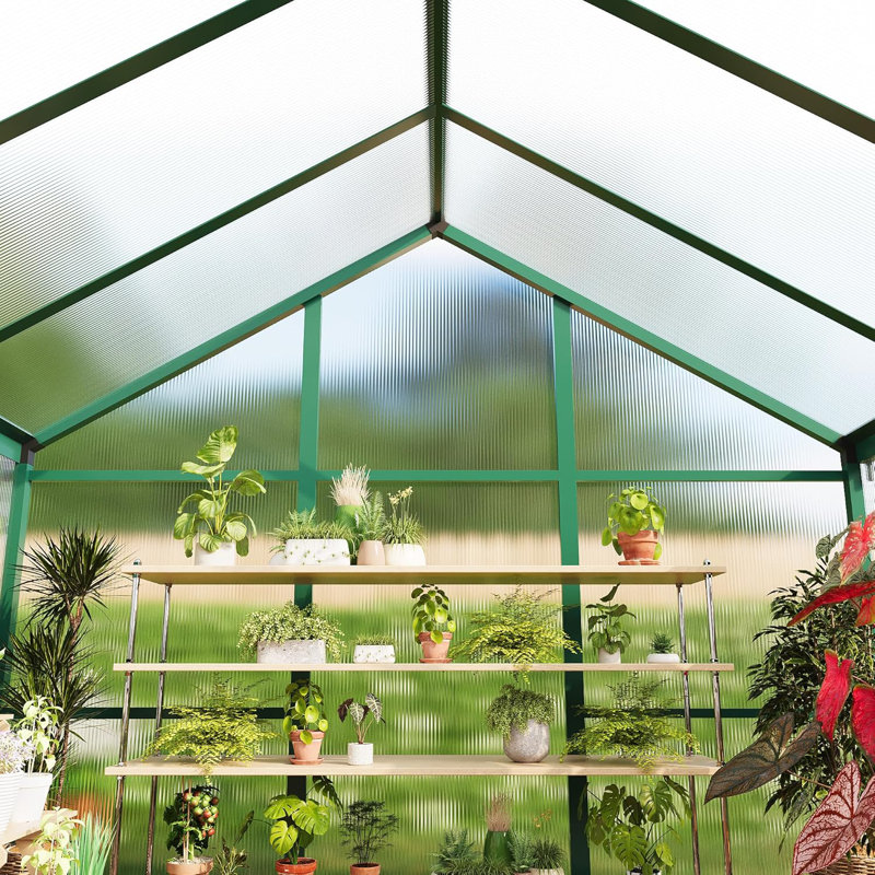 6x10 ft Walk-In Greenhouse, Aluminum Frame with Polycarbonate Panels, Adjustable Roof Vent, Lockable Door, Outdoor Backyard and Patio Garden Greenhouse
