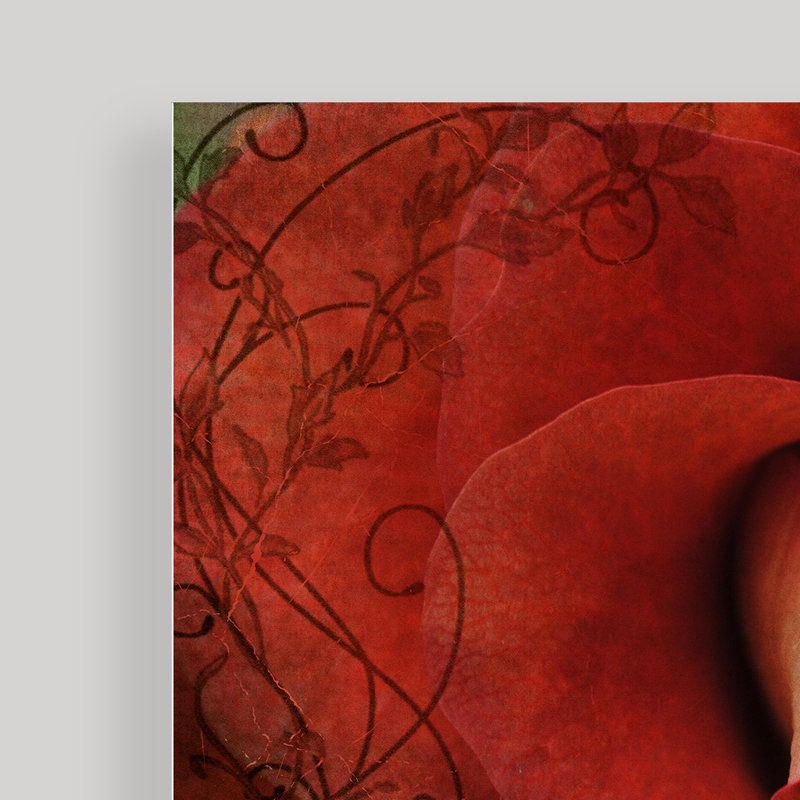« roses is red », impression sur toile