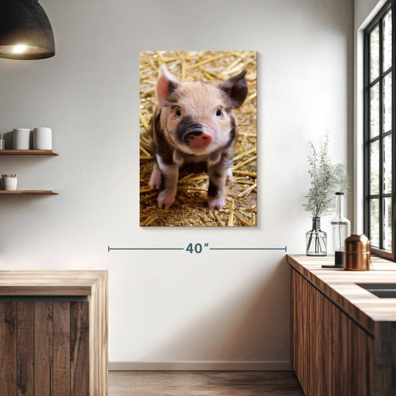 Brampt Farm Piglet, 39" H x 26" W
