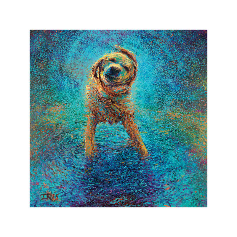 Iris Scott - Wrapped Canvas Print, 45.72 cm H x 45.72 cm W x 1.91 cm D