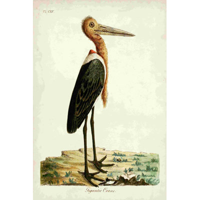 Grue gigantesque