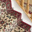 Stair Runner Adamski Oriental Indoor Area Rug-40897132
