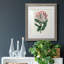 Protea N13 - Peinture encadrée-841114266-841114267