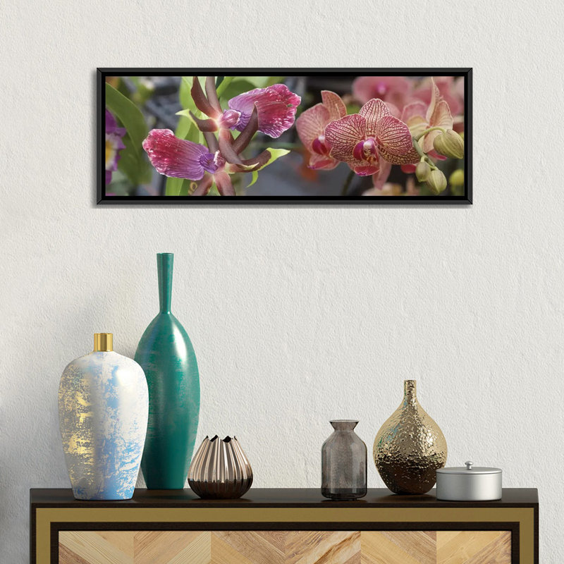 Gros plan de fleurs d'orchidées colorées I par Panoramic Images - Impression sur toile tendue sur châssis