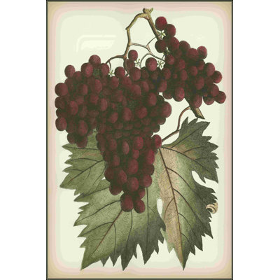 Raisins rouges II