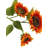Sunflower Arrangement-1718541840