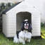 Niche pour chien en plastique Aunyae-1767548958-1791509099