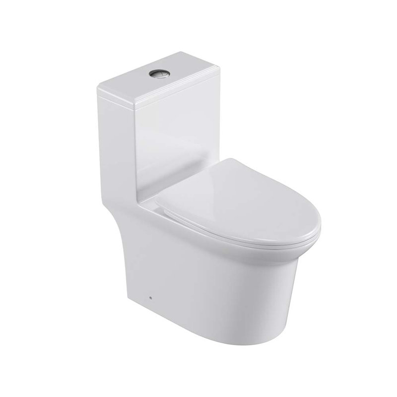 Toilette allongée une pièce 1,6 GPF Tusuton