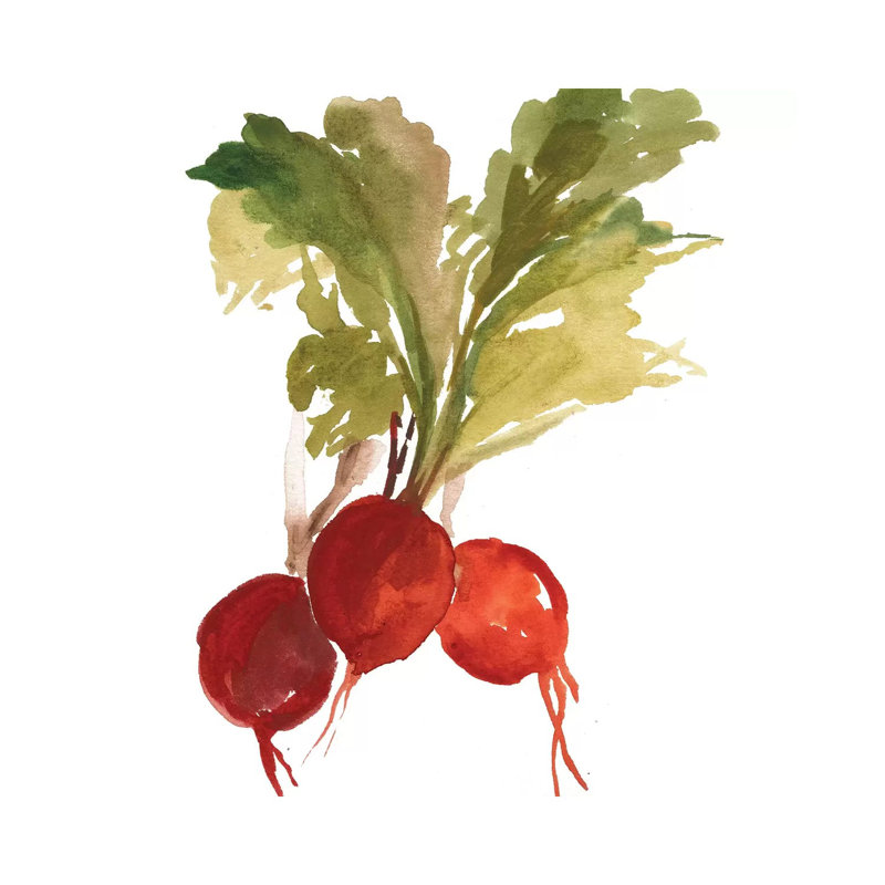Radish 1 Piece Wrapped Canvas Painting