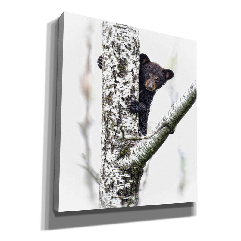 «Bears at Play V» par PH Burchett, art mural sur toile, H 34 po x l 26 po x P 1,5 po
