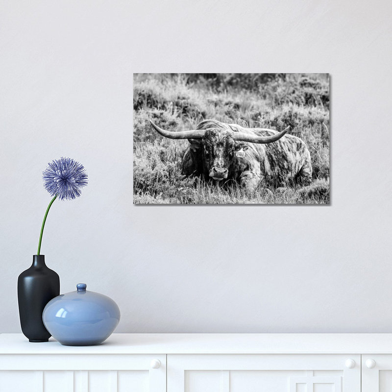 B&W Longhorn III by Tyler Stockton - Wrapped Canvas Print, 30.48 cm H x 45.72 cm W