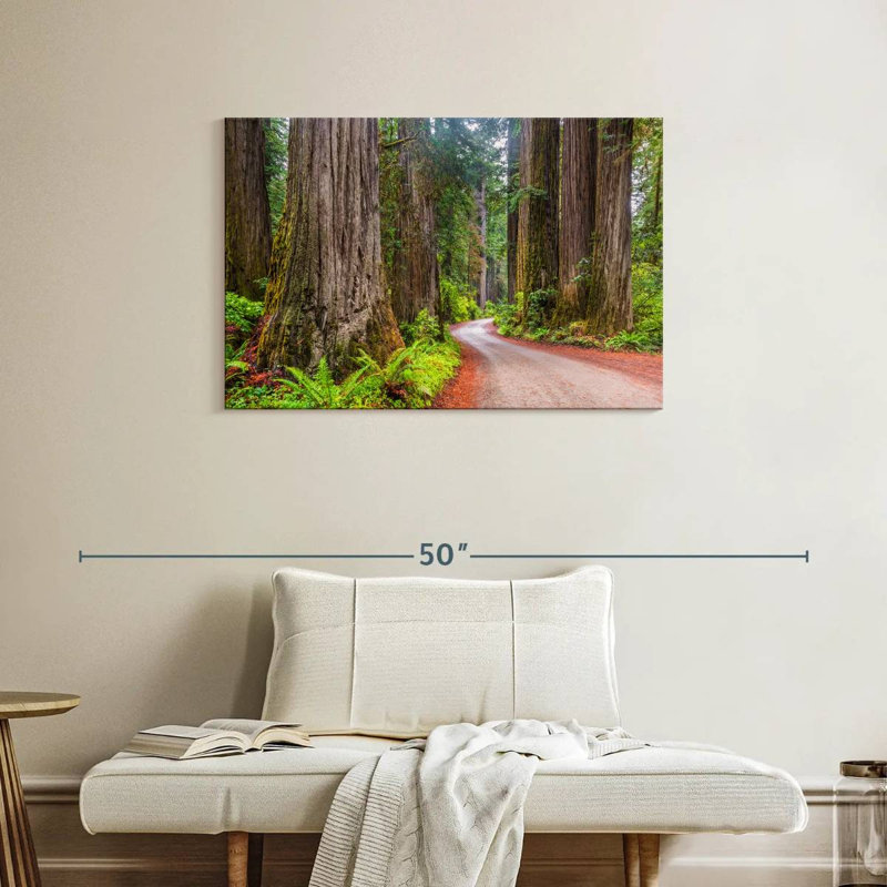 Harnek Redwood Forest Dirt Road, 24" H x 36" W