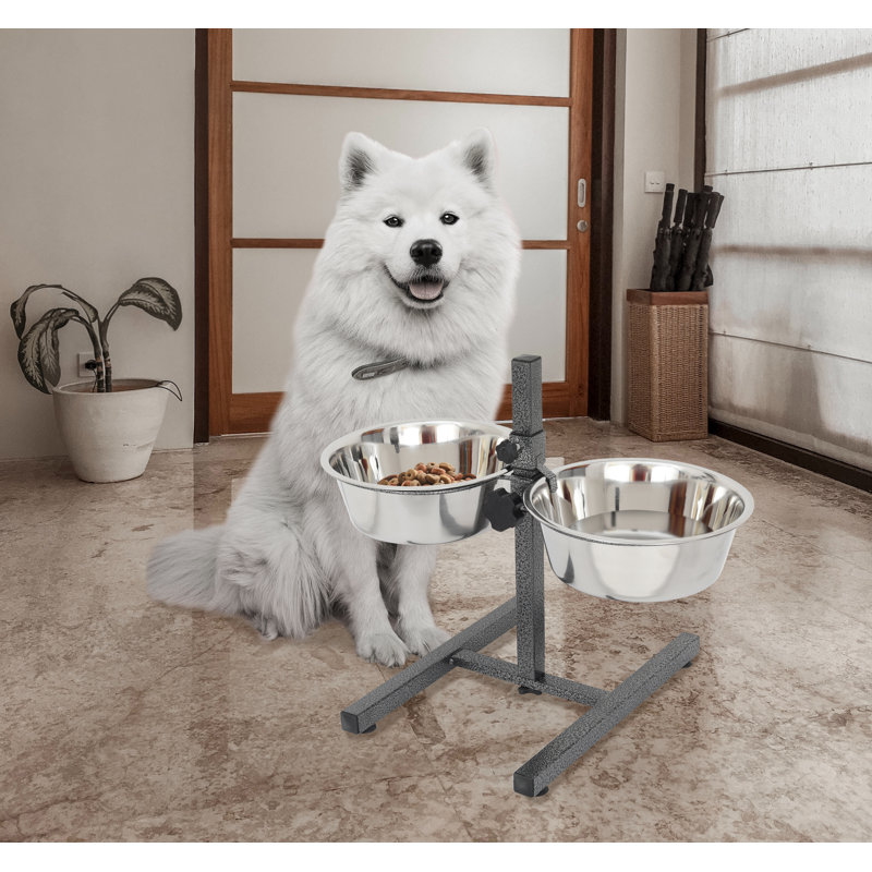 Diner pour animaux Dinahlee, 96 oz./12 tasses