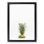 Its Pineapple Time - Framed Print-55576069-55576071