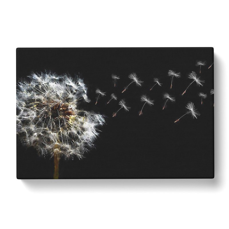 Dandelion Seeds Vol.10 - Wrapped Canvas Print, 50cm H x 76cm W x 3cm D
