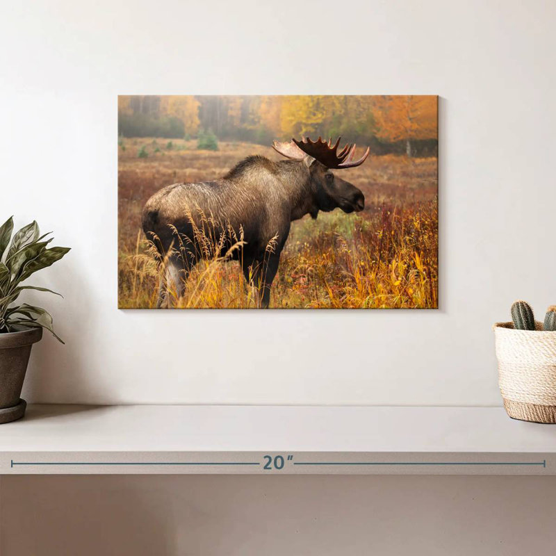Crowle Mighty Alaskan Moose, H 8 po x l 12 po
