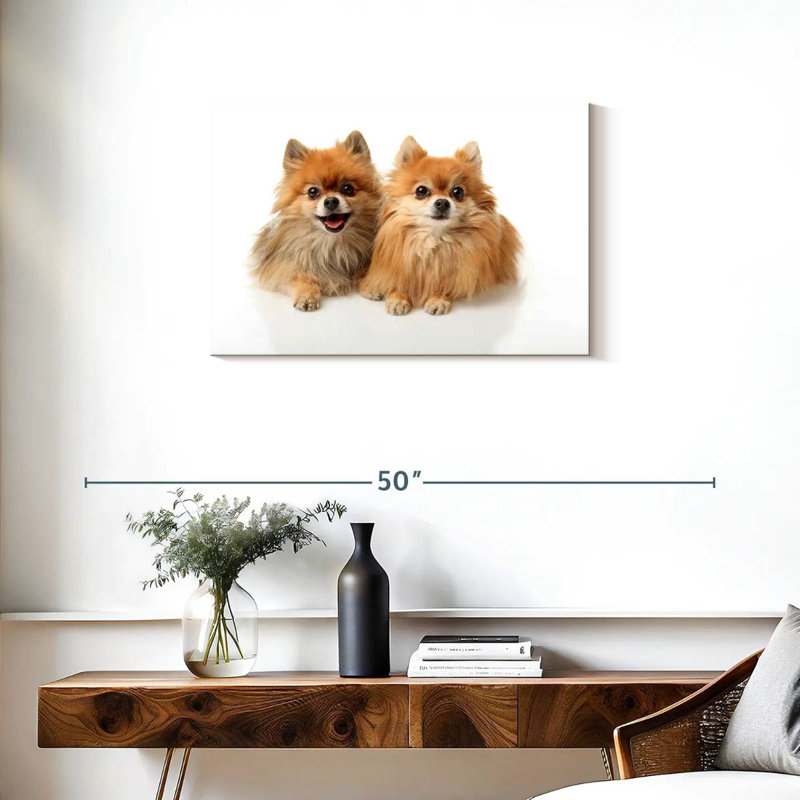 Crowle Posing Pomeranians, 20" H x 30" W