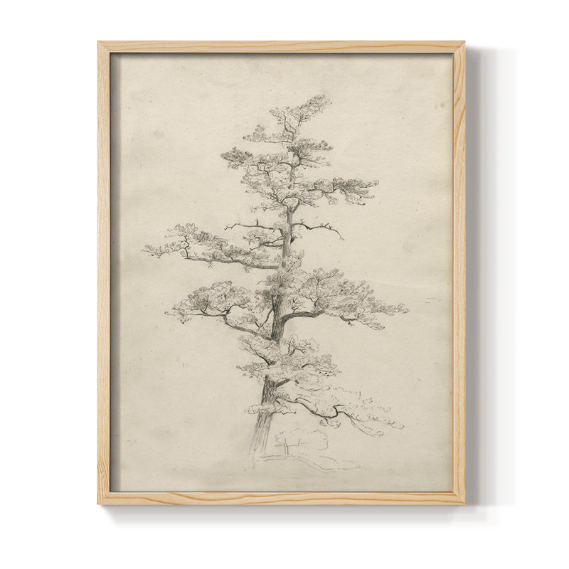 Croquis rétro C, reproduction encadrée - bois massif, H 30 po x l 24 po